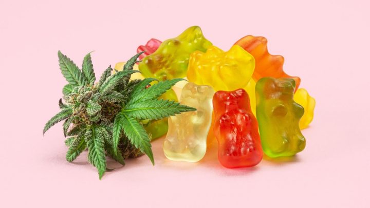 How Many Types Of Cbd Gummies Are There, And How Are They Beneficial For Sleeping Disorders?